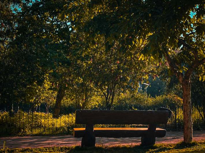 A hand resting on a weathered wooden garden bench overlooking a lush garden