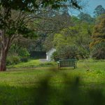 B and Q Benches Outdoor: 7 Proven Tips to Avoid Costly Patio Mistakes